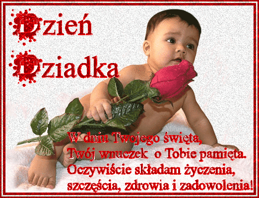 Wnuczek z czerwoną różą  w Dniu Dziadka składa życzenia